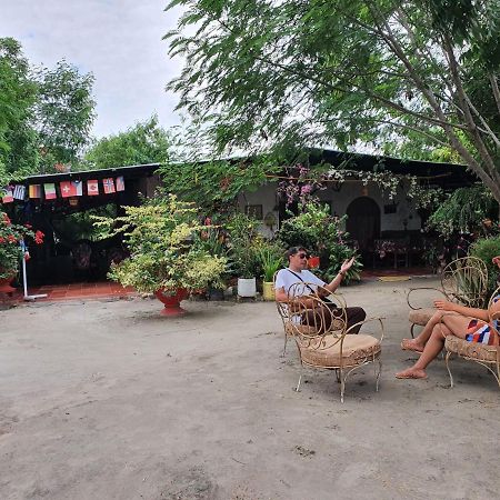 Alojamiento Casa De Campo Los Cactus Villavieja Ngoại thất bức ảnh