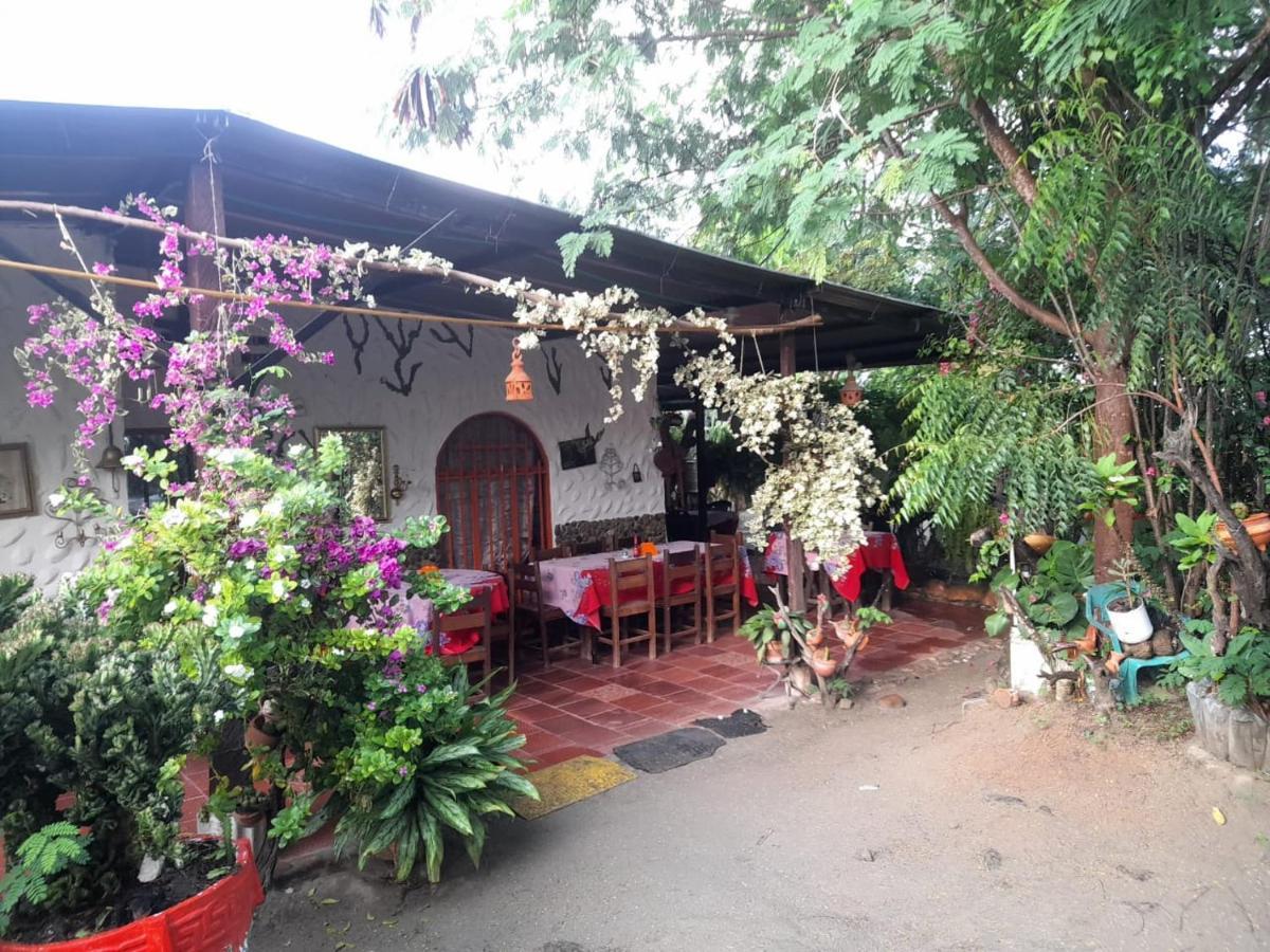 Alojamiento Casa De Campo Los Cactus Villavieja Ngoại thất bức ảnh