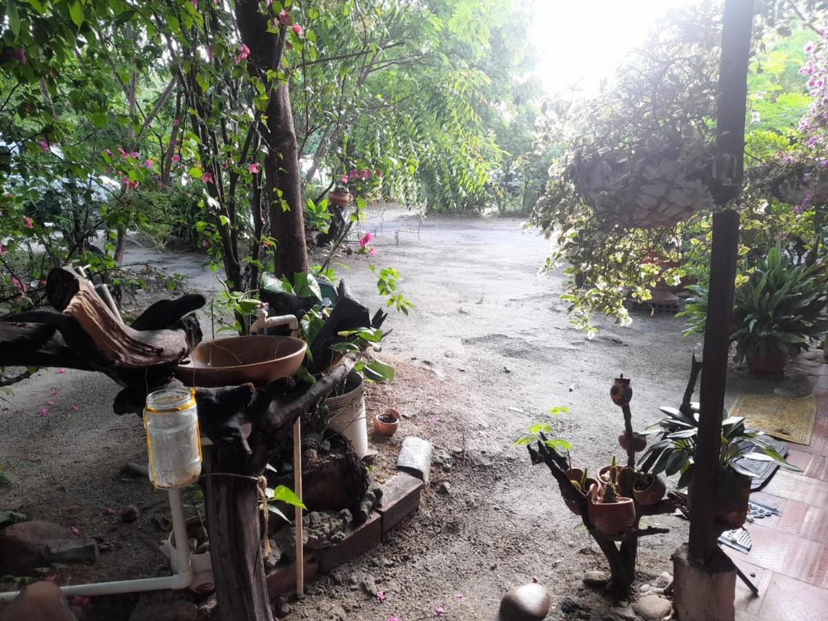 Alojamiento Casa De Campo Los Cactus Villavieja Ngoại thất bức ảnh