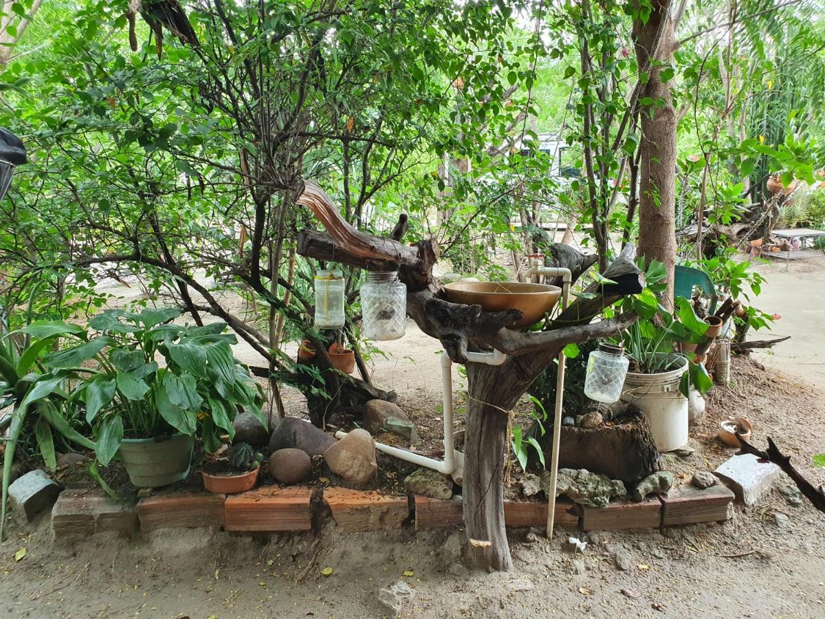 Alojamiento Casa De Campo Los Cactus Villavieja Ngoại thất bức ảnh