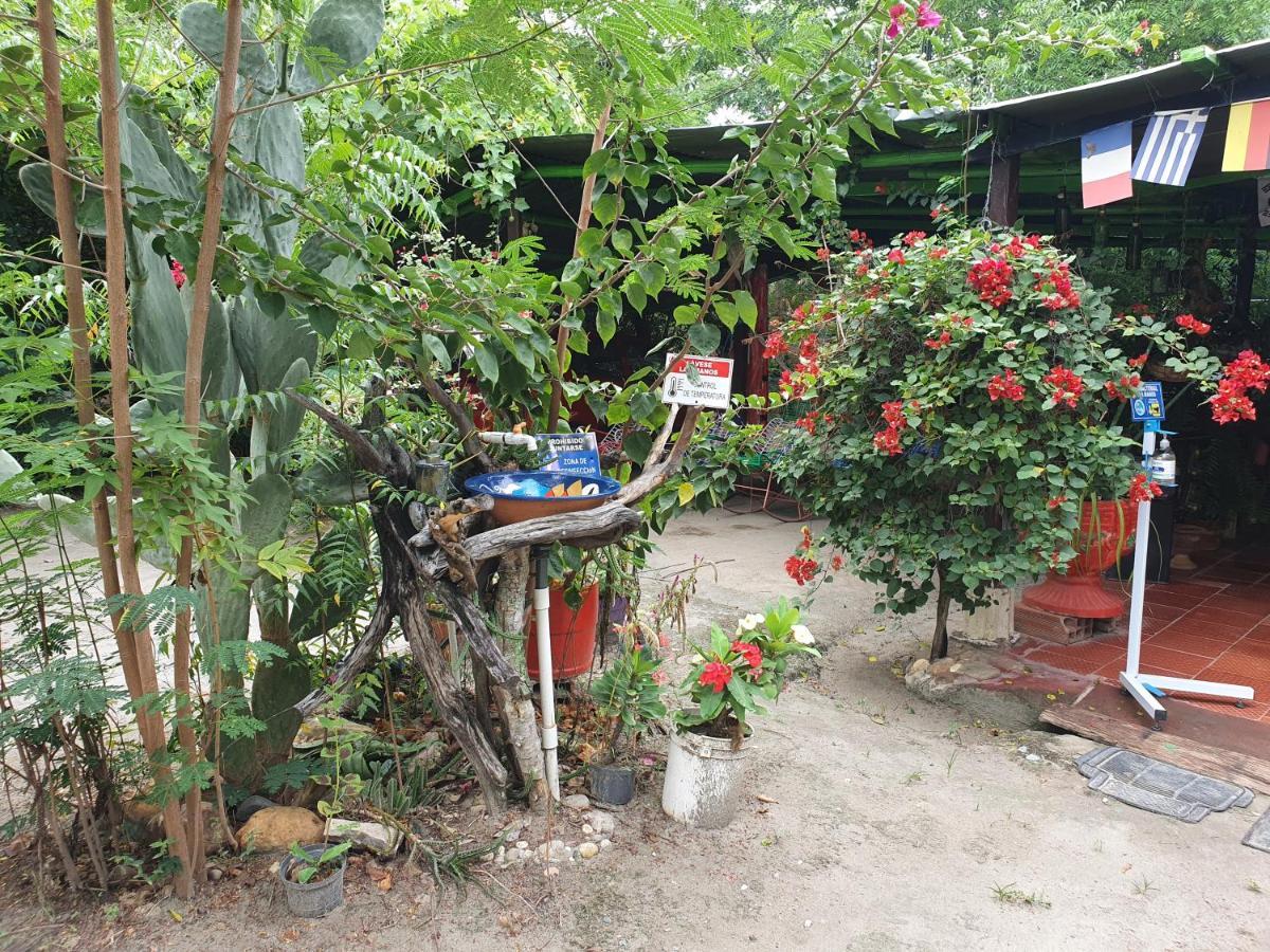 Alojamiento Casa De Campo Los Cactus Villavieja Ngoại thất bức ảnh