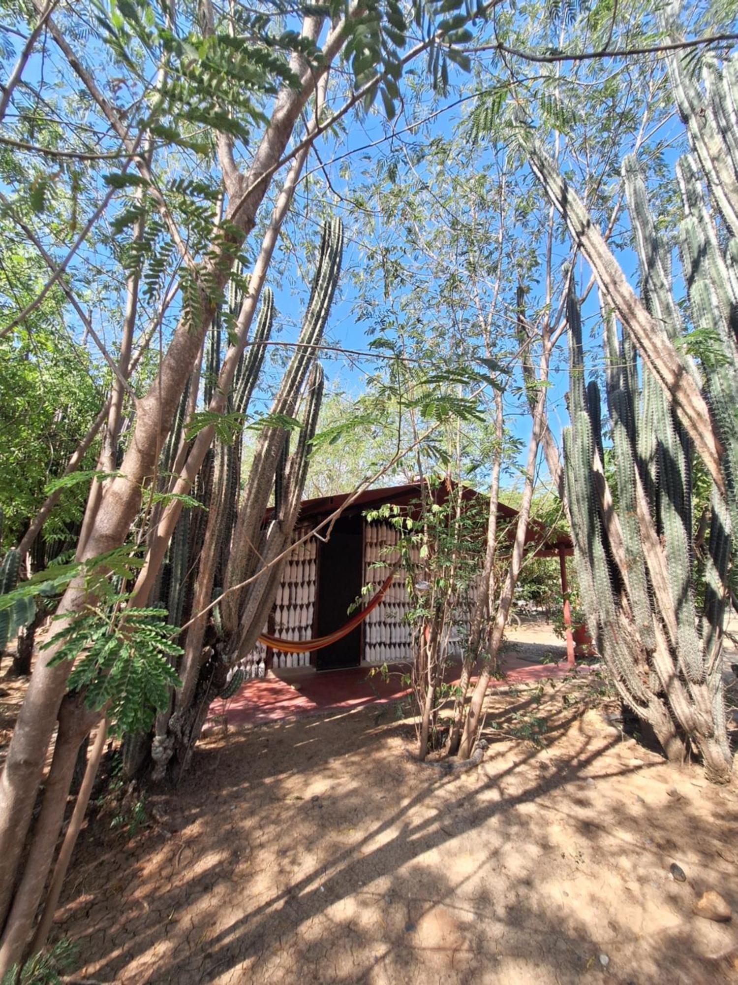 Alojamiento Casa De Campo Los Cactus Villavieja Ngoại thất bức ảnh