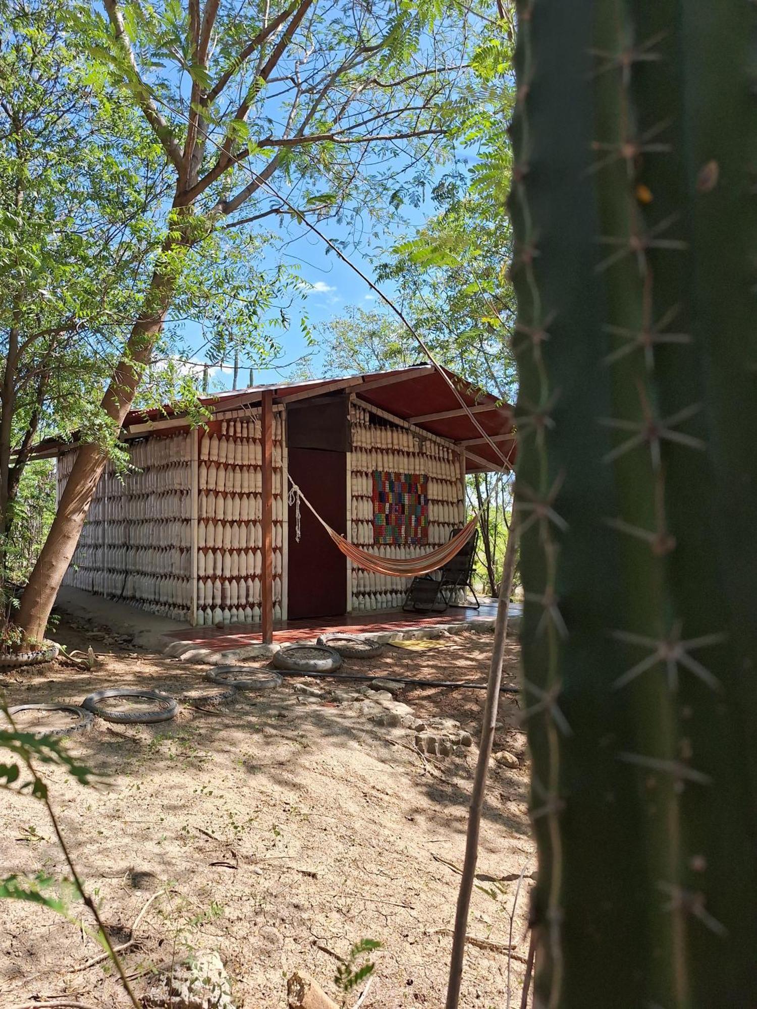 Alojamiento Casa De Campo Los Cactus Villavieja Ngoại thất bức ảnh