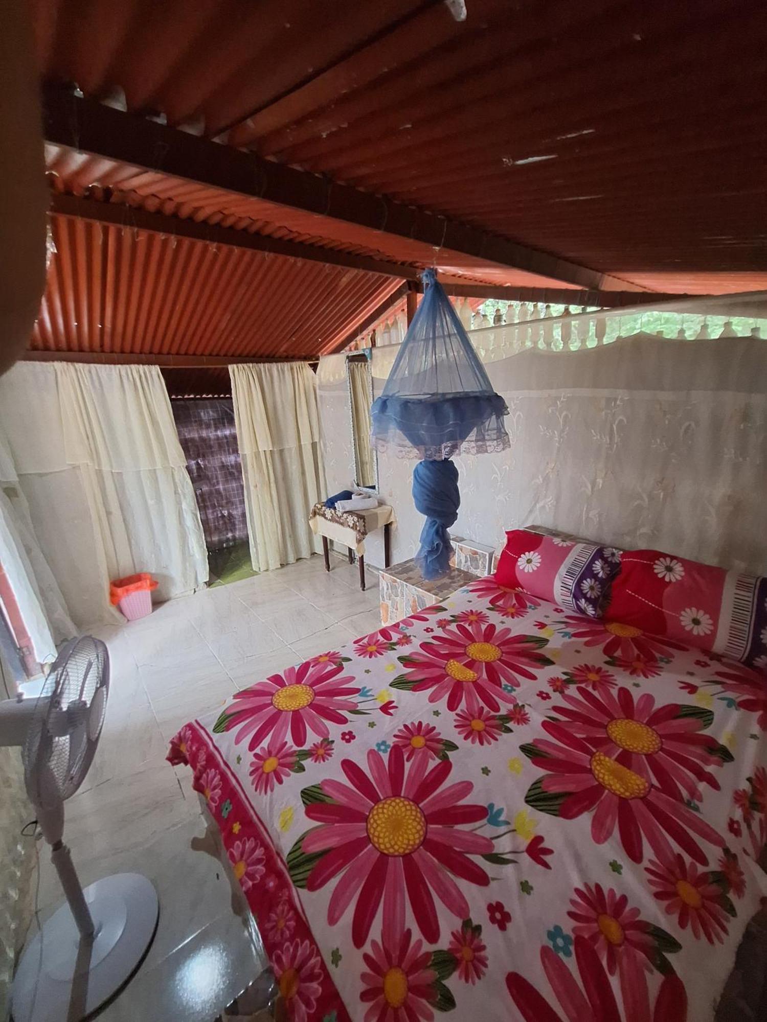 Alojamiento Casa De Campo Los Cactus Villavieja Ngoại thất bức ảnh