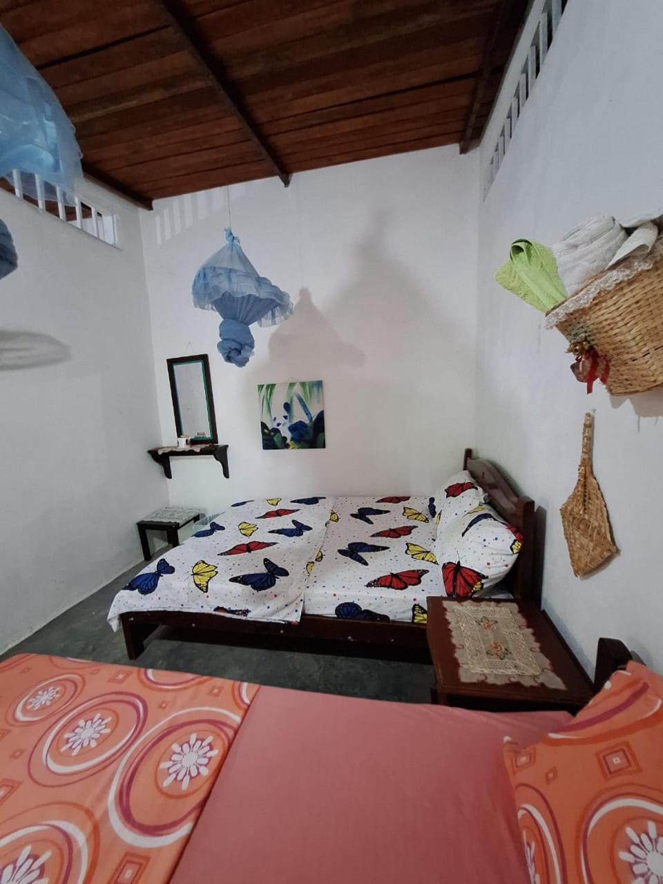 Alojamiento Casa De Campo Los Cactus Villavieja Ngoại thất bức ảnh