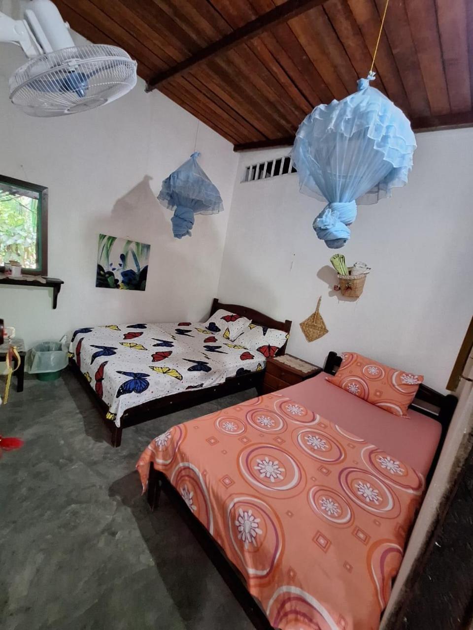 Alojamiento Casa De Campo Los Cactus Villavieja Ngoại thất bức ảnh