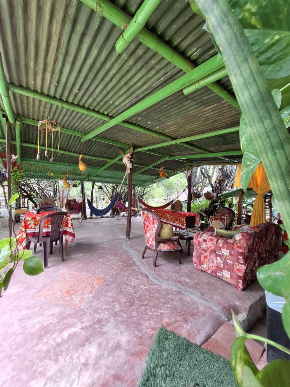 Alojamiento Casa De Campo Los Cactus Villavieja Ngoại thất bức ảnh