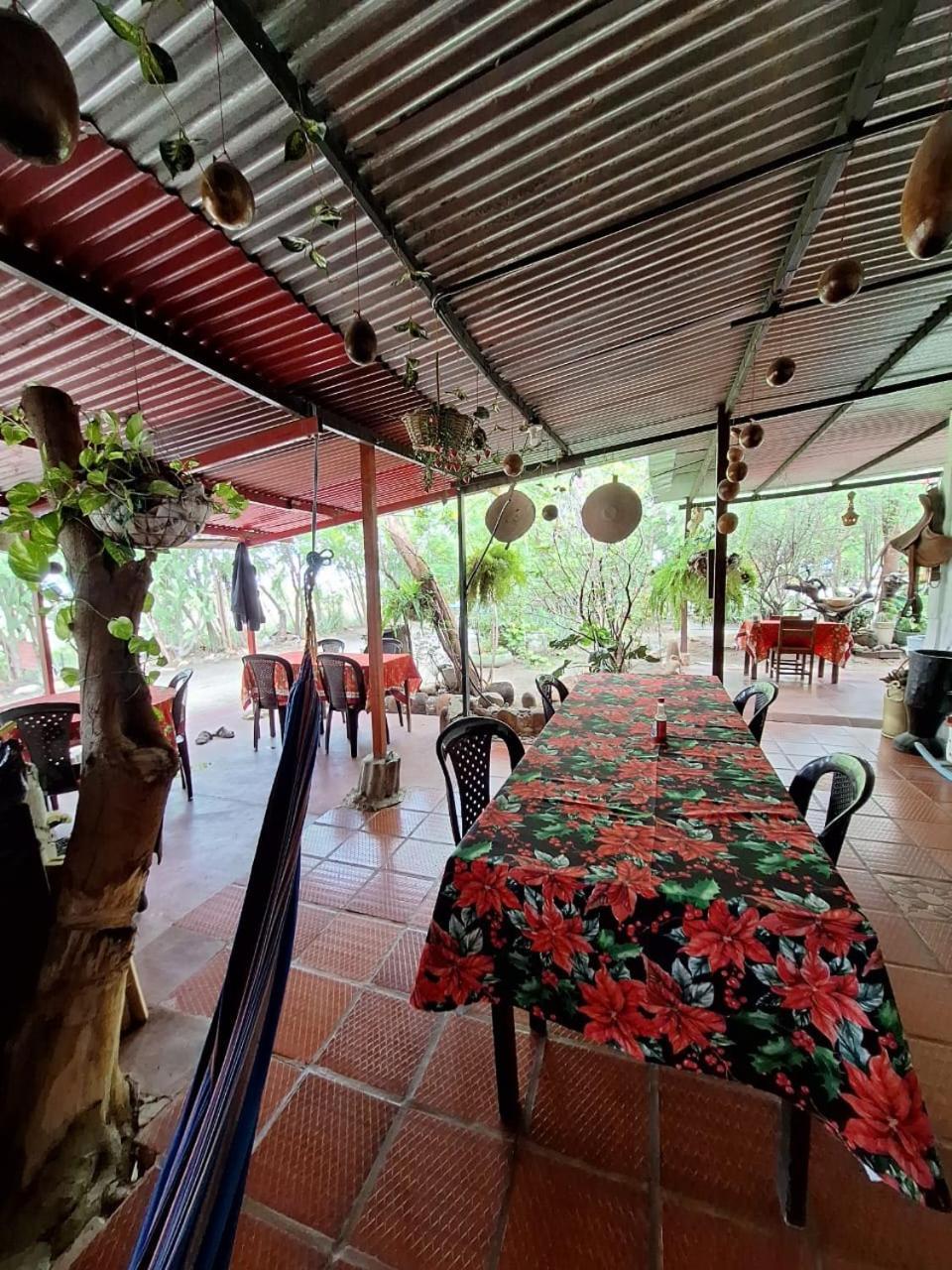 Alojamiento Casa De Campo Los Cactus Villavieja Ngoại thất bức ảnh