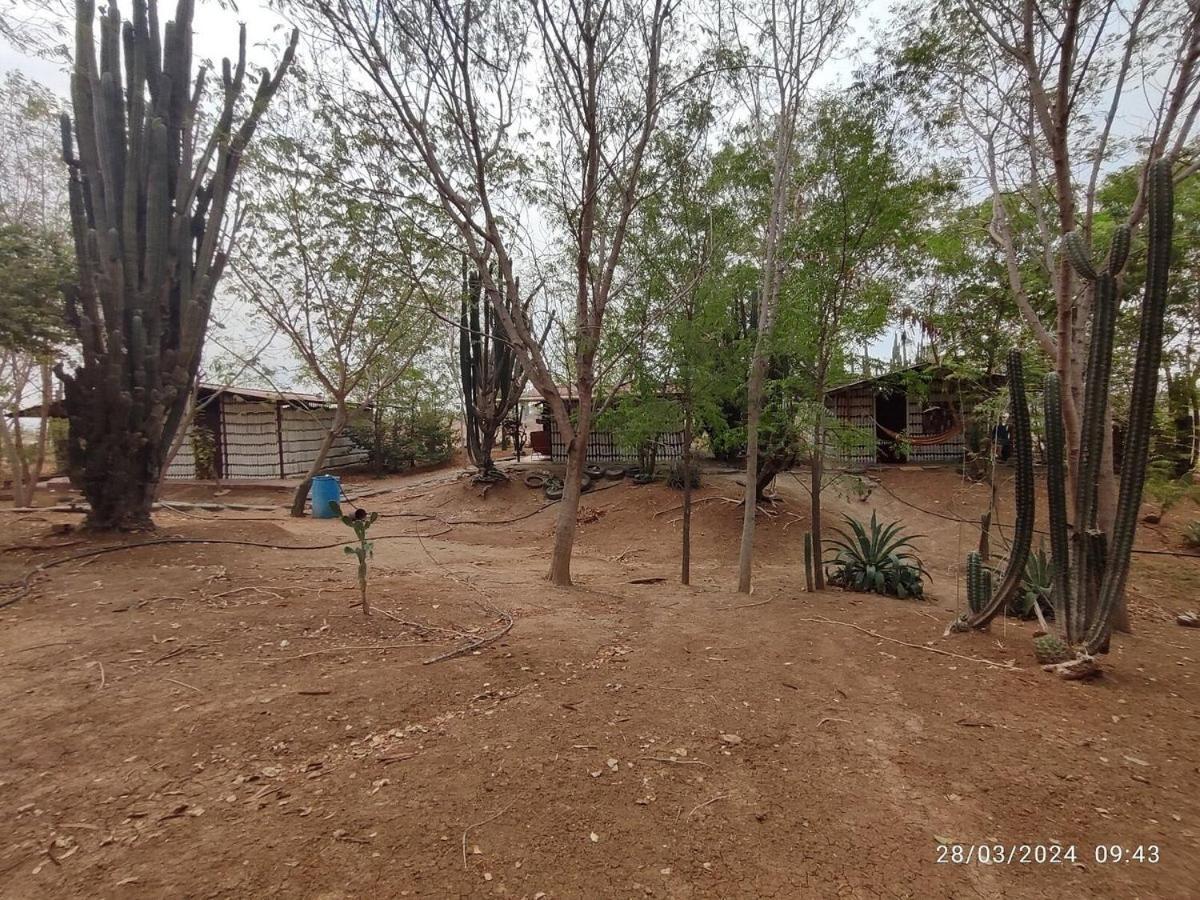 Alojamiento Casa De Campo Los Cactus Villavieja Ngoại thất bức ảnh