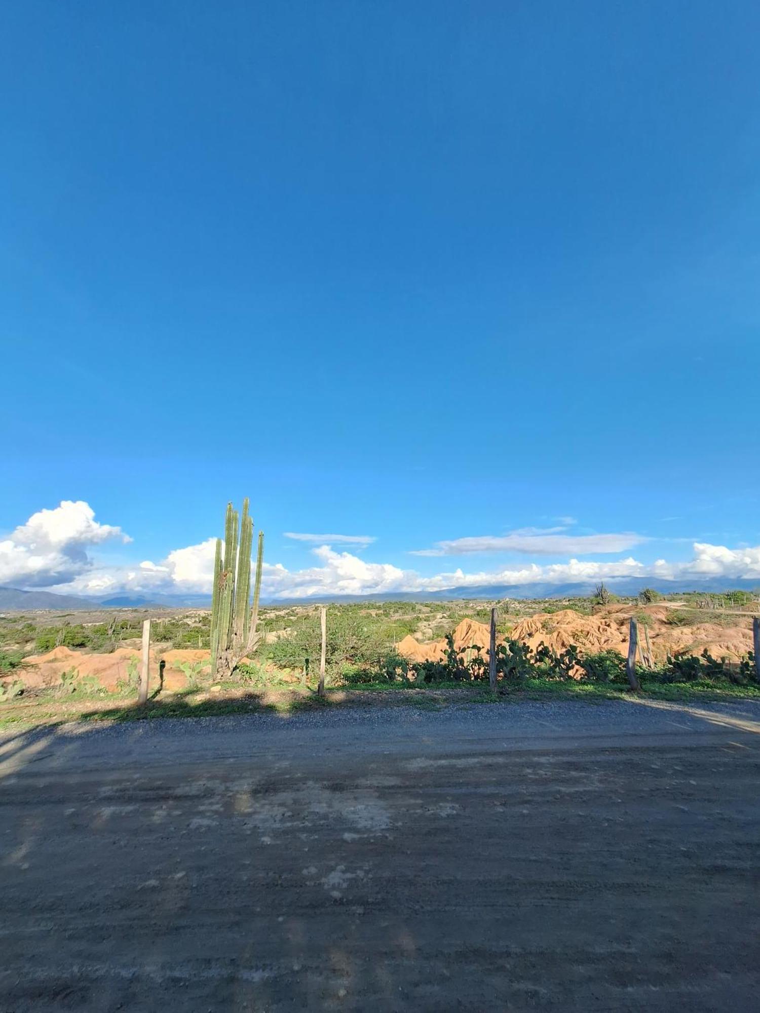 Alojamiento Casa De Campo Los Cactus Villavieja Ngoại thất bức ảnh