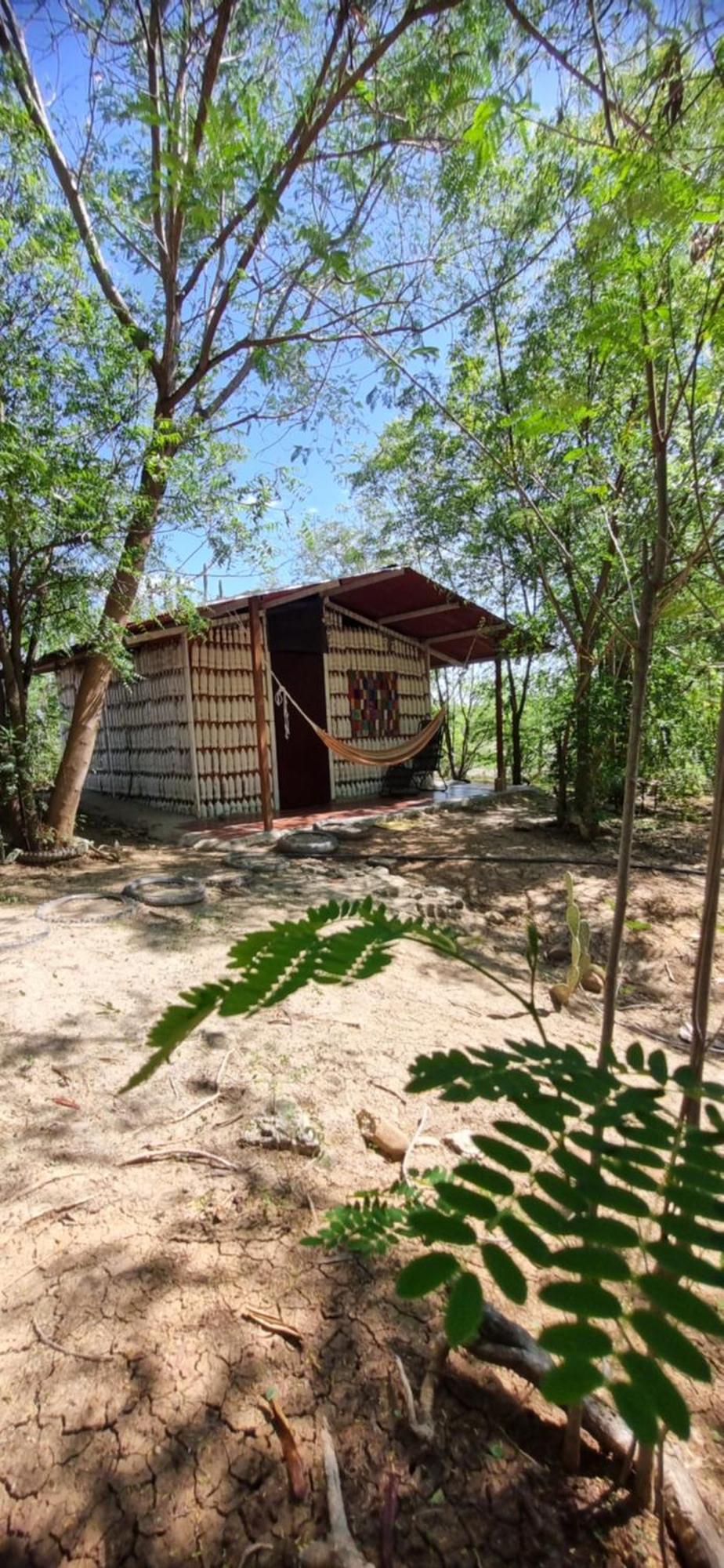 Alojamiento Casa De Campo Los Cactus Villavieja Ngoại thất bức ảnh