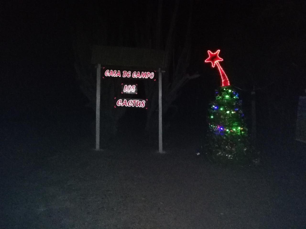 Alojamiento Casa De Campo Los Cactus Villavieja Ngoại thất bức ảnh