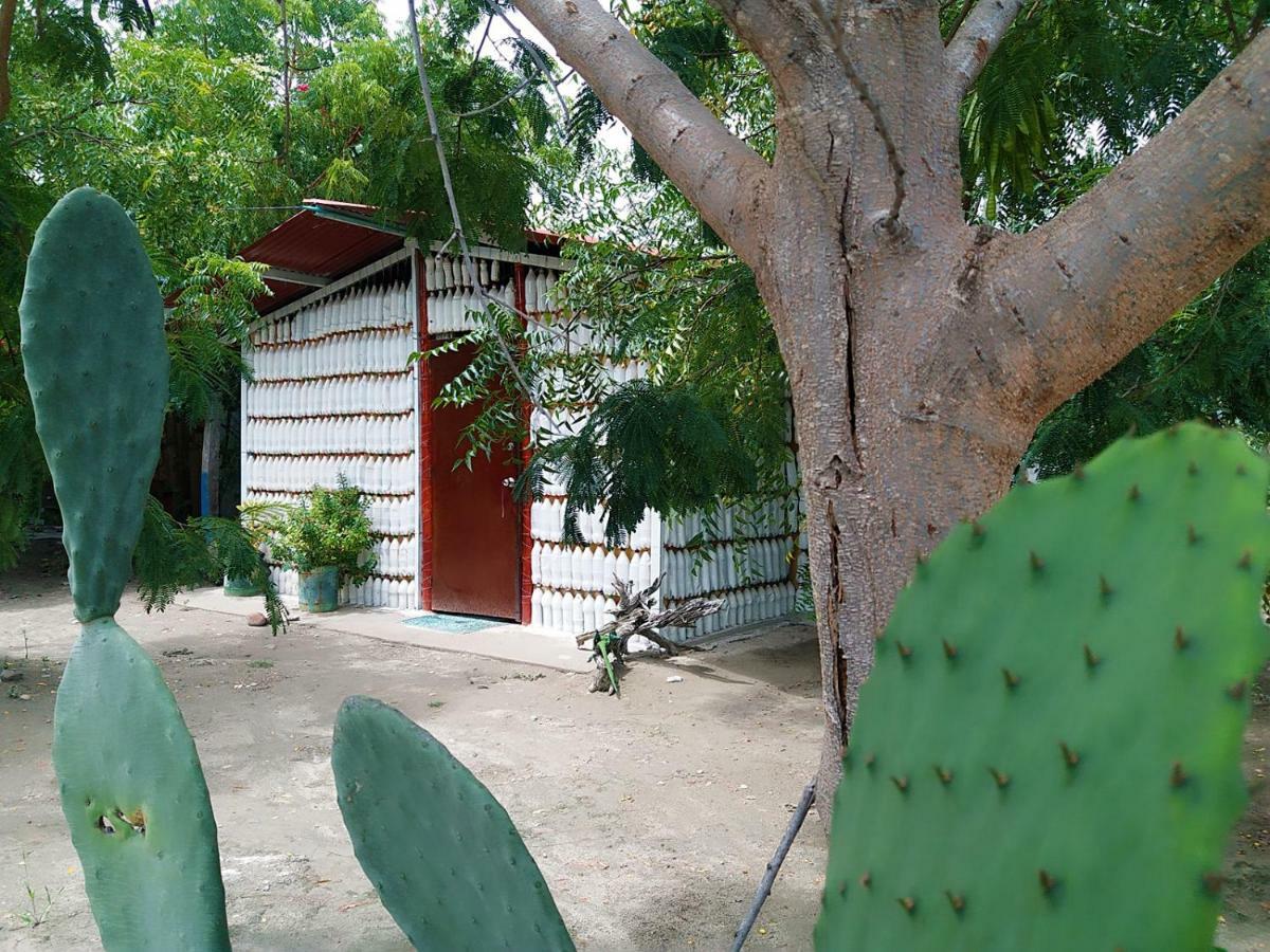 Alojamiento Casa De Campo Los Cactus Villavieja Ngoại thất bức ảnh